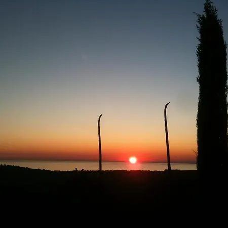 Strada Dei Vetti Cipressi * Sciacca