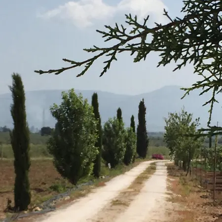 Villa Strada Dei Vetti Cipressi *
