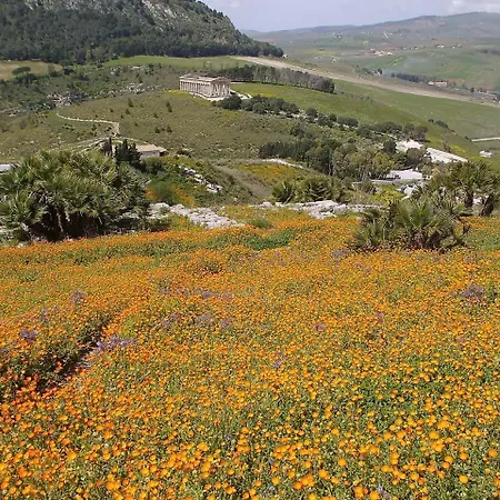 Strada Dei Vetti Cipressi Sciacca